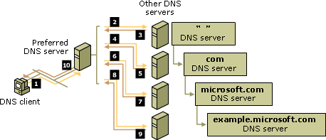 odpytywanie serwerów DNS