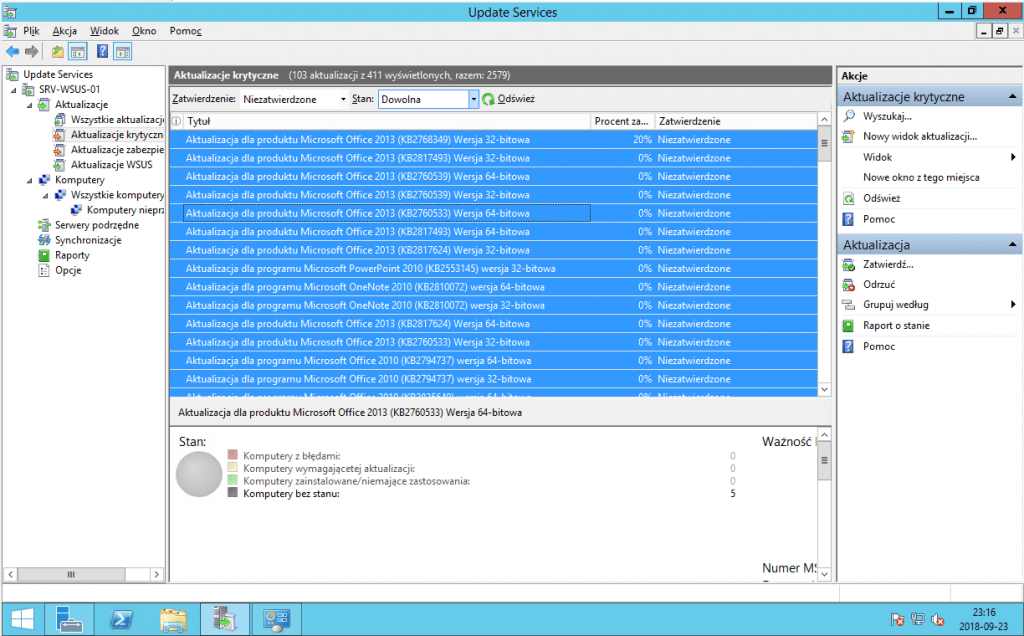 Update Services wsus