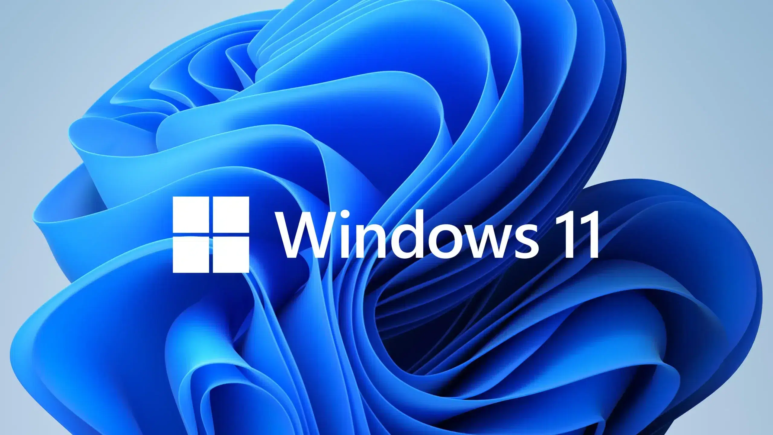 grafika Windows 11